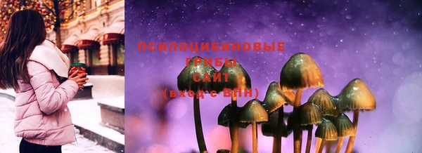 гидра Алексеевка
