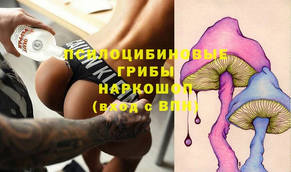 гидра Алексеевка