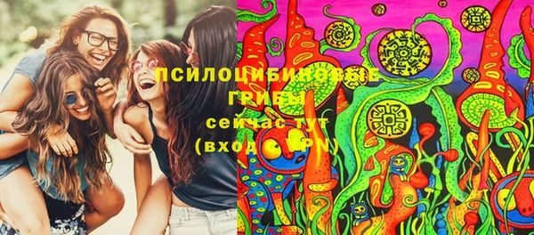 дмт Алексин