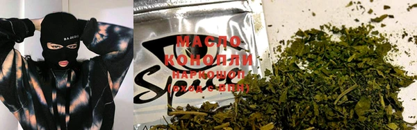 дмт Алексин