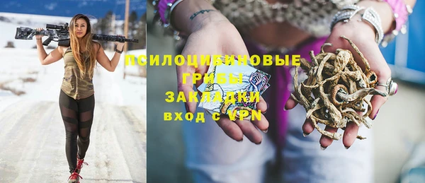 дмт Алексин