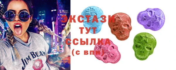 гидра Алексеевка