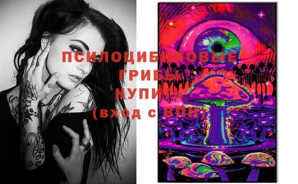 дмт Алексин