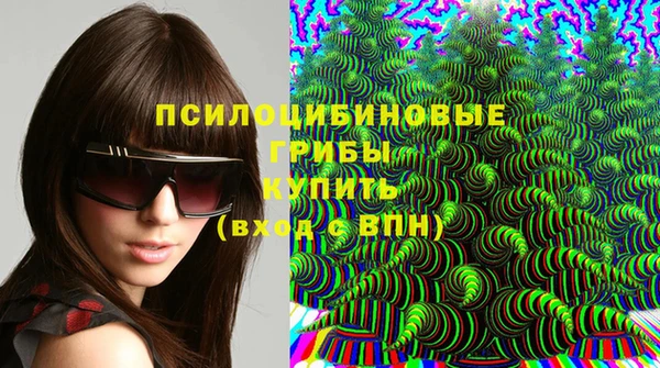 дмт Алексин