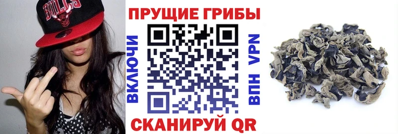 Псилоцибиновые грибы Psilocybe продажа наркотиков hydra ССЫЛКА Клин