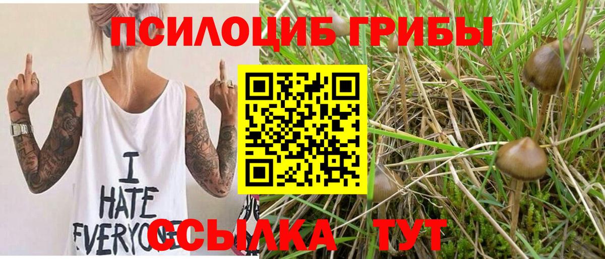 Клин  Галлюциногенные грибы прущие грибы  Вход с VPN  Псилоцибиновые грибы ЛСД 